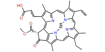 Chlorophyll c2